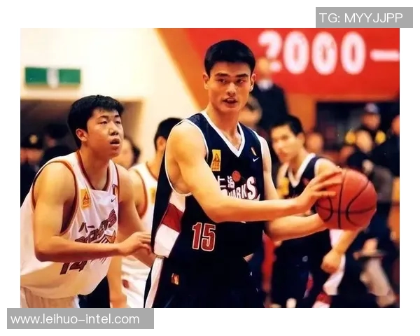 黑鹰少年姚明的篮球梦想与成长之路：从小镇到NBA的传奇旅程